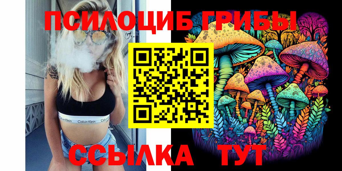 Галлюциногенные грибы Psilocybe Шадринск
