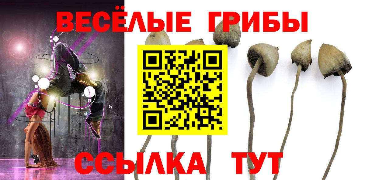 Галлюциногенные грибы ЛСД  Вход с VPN  Шадринск 