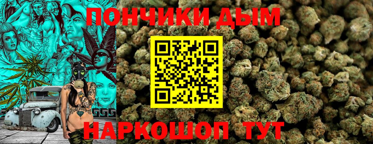 Бошки Шишки гибрид Шадринск
